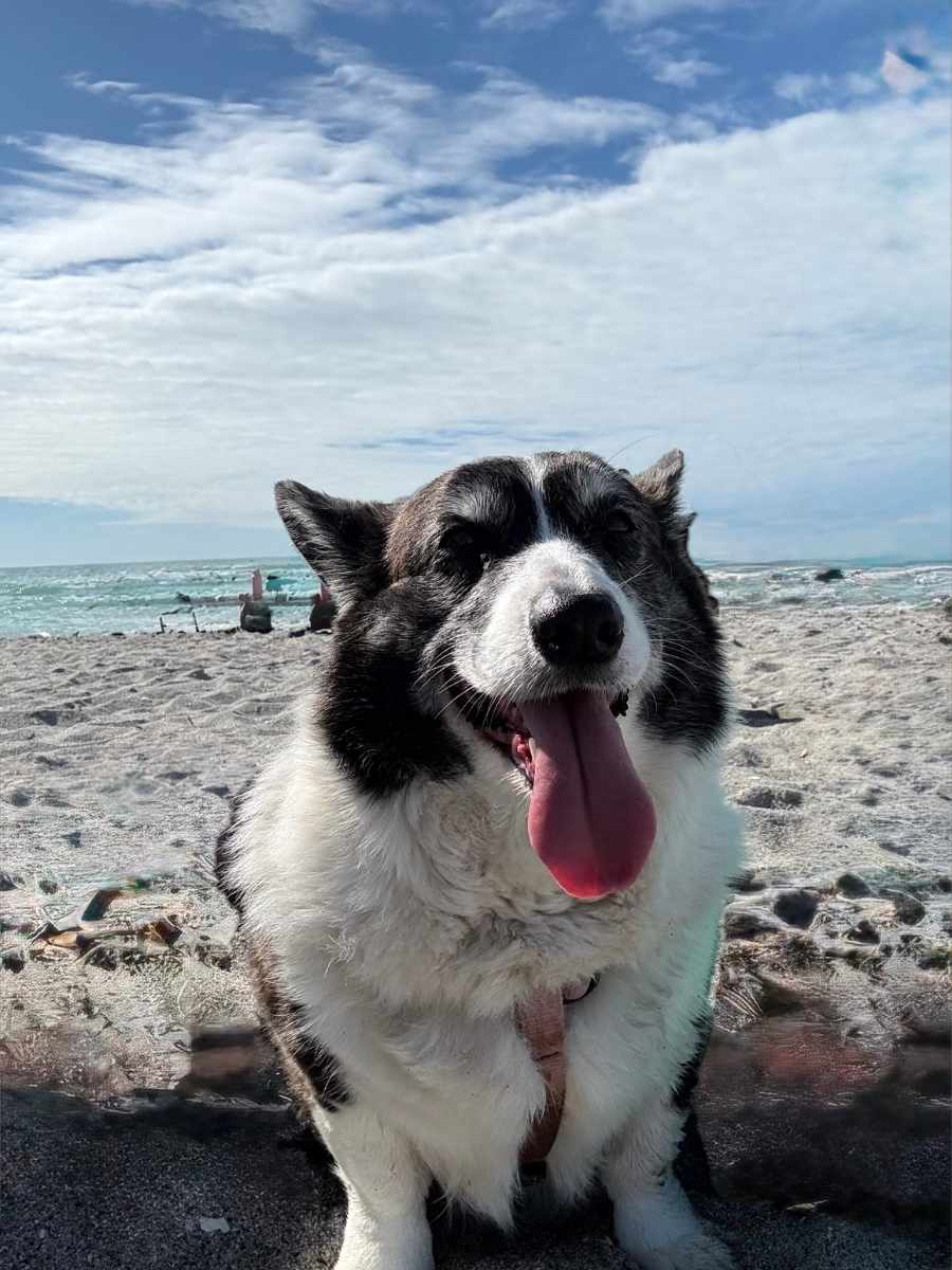 Breezy Bookshop mascot