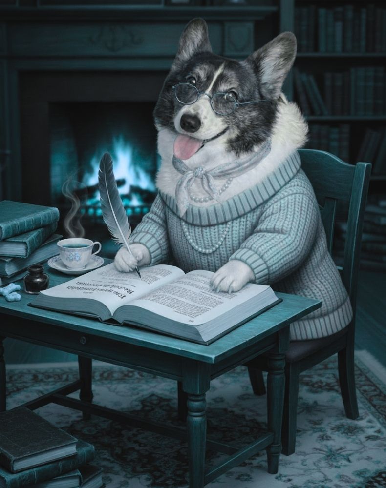 breezy mobile bookshop